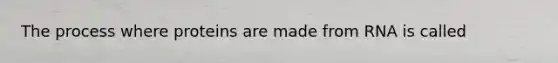 The process where proteins are made from RNA is called