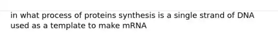 in what process of proteins synthesis is a single strand of DNA used as a template to make mRNA