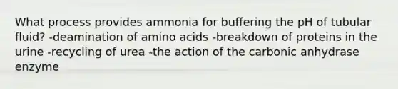 What process provides ammonia for buffering the pH of tubular fluid? -deamination of amino acids -breakdown of proteins in the urine -recycling of urea -the action of the carbonic anhydrase enzyme