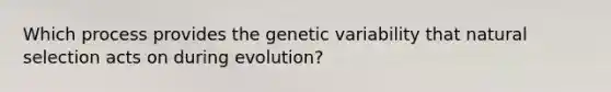 Which process provides the genetic variability that natural selection acts on during evolution?