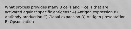 What process provides many B cells and T cells that are activated against specific antigens? A) Antigen expression B) Antibody production C) Clonal expansion D) Antigen presentation E) Opsonization