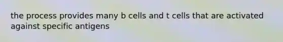 the process provides many b cells and t cells that are activated against specific antigens