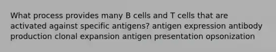 What process provides many B cells and T cells that are activated against specific antigens? antigen expression antibody production clonal expansion antigen presentation opsonization