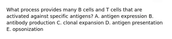 What process provides many B cells and T cells that are activated against specific antigens? A. antigen expression B. antibody production C. clonal expansion D. antigen presentation E. opsonization