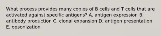 What process provides many copies of B cells and T cells that are activated against specific antigens? A. antigen expression B. antibody production C. clonal expansion D. antigen presentation E. opsonization