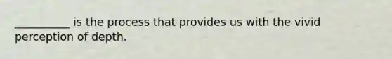 __________ is the process that provides us with the vivid perception of depth.