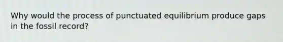 Why would the process of punctuated equilibrium produce gaps in the fossil record?