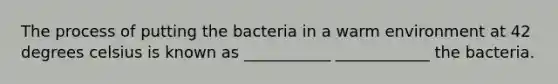 The process of putting the bacteria in a warm environment at 42 degrees celsius is known as ___________ ____________ the bacteria.