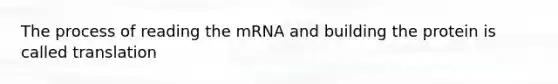 The process of reading the mRNA and building the protein is called translation