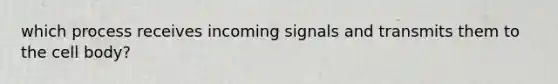 which process receives incoming signals and transmits them to the cell body?