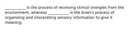 ___________ is the process of receiving stimuli energies from the environment, whereas ___________ is the brain's process of organizing and interpreting sensory information to give it meaning.