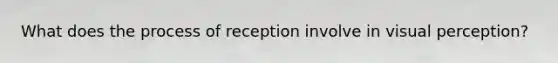 What does the process of reception involve in visual perception?