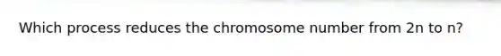 Which process reduces the chromosome number from 2n to n?