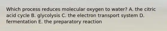 Which process reduces molecular oxygen to water? A. the citric acid cycle B. glycolysis C. the electron transport system D. fermentation E. the preparatory reaction