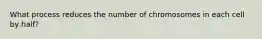 What process reduces the number of chromosomes in each cell by half?