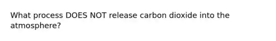 What process DOES NOT release carbon dioxide into the atmosphere?