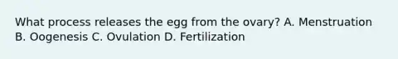 What process releases the egg from the ovary? A. Menstruation B. Oogenesis C. Ovulation D. Fertilization