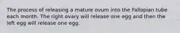 The process of releasing a mature ovum into the Fallopian tube each month. The right ovary will release one egg and then the left egg will release one egg.