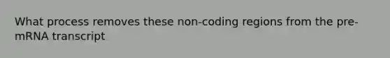 What process removes these non-coding regions from the pre-mRNA transcript