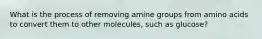 What is the process of removing amine groups from amino acids to convert them to other molecules, such as glucose?