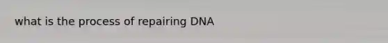 what is the process of repairing DNA