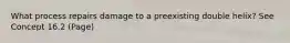 What process repairs damage to a preexisting double helix? See Concept 16.2 (Page)