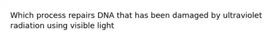 Which process repairs DNA that has been damaged by ultraviolet radiation using visible light
