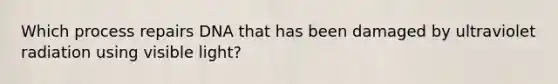 Which process repairs DNA that has been damaged by ultraviolet radiation using visible light?