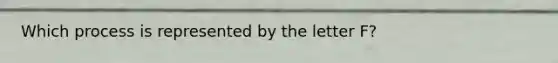 Which process is represented by the letter F?
