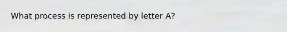 What process is represented by letter A?