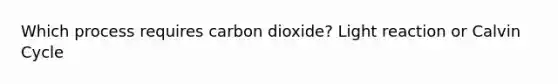 Which process requires carbon dioxide? Light reaction or Calvin Cycle