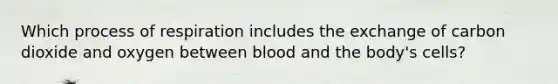 Which process of respiration includes the exchange of carbon dioxide and oxygen between blood and the body's cells?