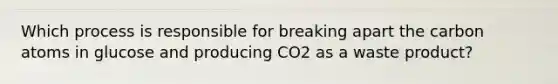 Which process is responsible for breaking apart the carbon atoms in glucose and producing CO2 as a waste product?