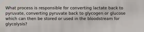 What process is responsible for converting lactate back to pyruvate, converting pyruvate back to glycogen or glucose which can then be stored or used in the bloodstream for glycolysis?