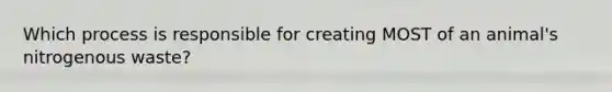 Which process is responsible for creating MOST of an animal's nitrogenous waste?