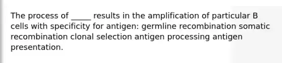 The process of _____ results in the amplification of particular B cells with specificity for antigen: germline recombination somatic recombination clonal selection antigen processing antigen presentation.