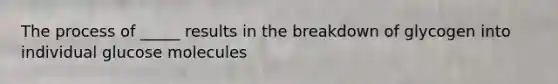 The process of _____ results in the breakdown of glycogen into individual glucose molecules