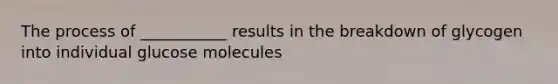 The process of ___________ results in the breakdown of glycogen into individual glucose molecules