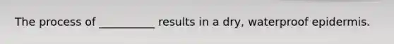 The process of __________ results in a dry, waterproof epidermis.