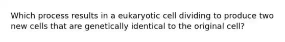 Which process results in a eukaryotic cell dividing to produce two new cells that are genetically identical to the original cell?