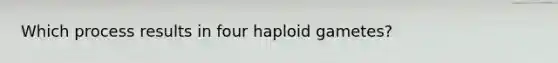 Which process results in four haploid gametes?