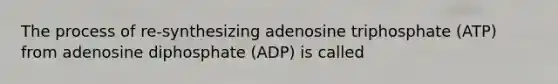 The process of re-synthesizing adenosine triphosphate (ATP) from adenosine diphosphate (ADP) is called