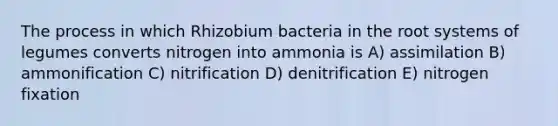 The process in which Rhizobium bacteria in the root systems of legumes converts nitrogen into ammonia is A) assimilation B) ammonification C) nitrification D) denitrification E) nitrogen fixation