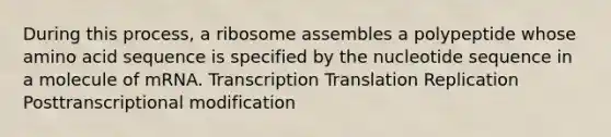 During this process, a ribosome assembles a polypeptide whose amino acid sequence is specified by the nucleotide sequence in a molecule of mRNA. Transcription Translation Replication Posttranscriptional modification