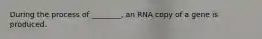 During the process of ________, an RNA copy of a gene is produced.