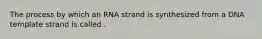 The process by which an RNA strand is synthesized from a DNA template strand is called .