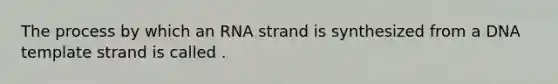 The process by which an RNA strand is synthesized from a DNA template strand is called .