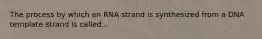 The process by which an RNA strand is synthesized from a DNA template strand is called...