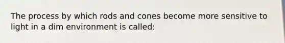 The process by which rods and cones become more sensitive to light in a dim environment is called: