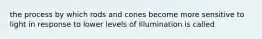 the process by which rods and cones become more sensitive to light in response to lower levels of Illumination is called